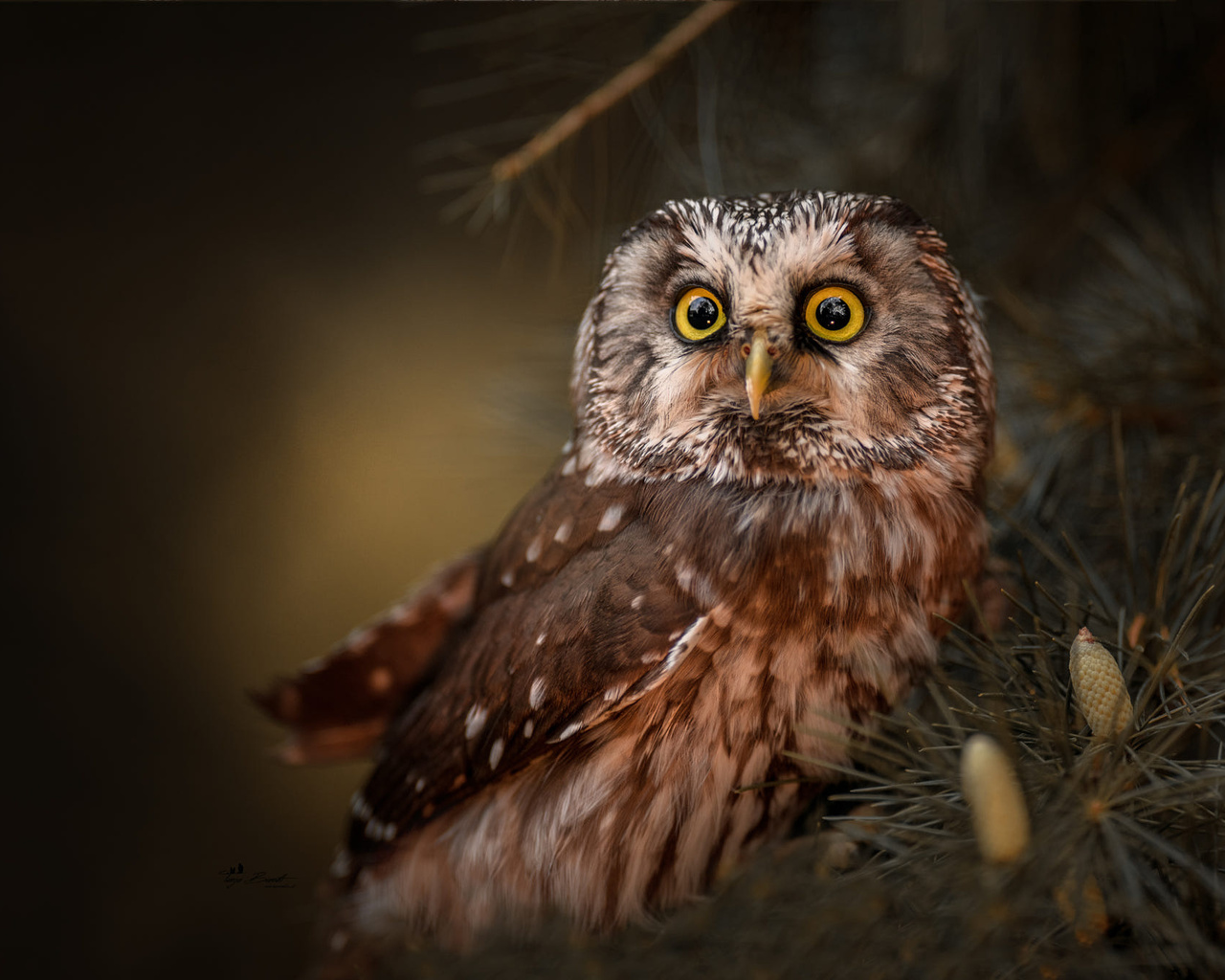 , , ,  , , tanja brandt, , , 