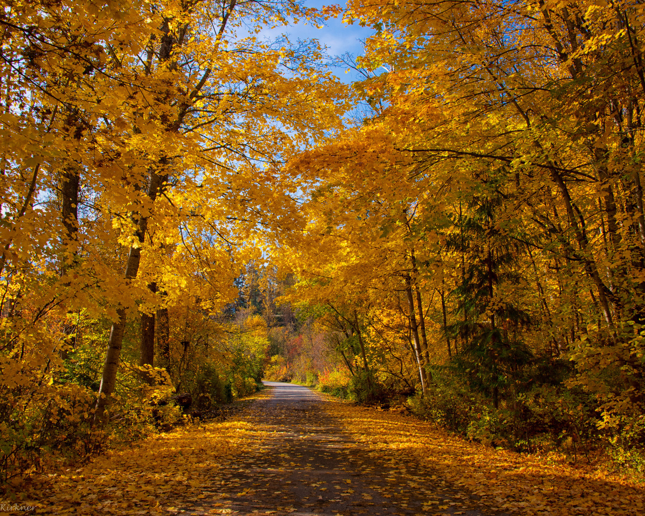 , , , sandyk29, kokanee creek provincial park in british columbia /   -   