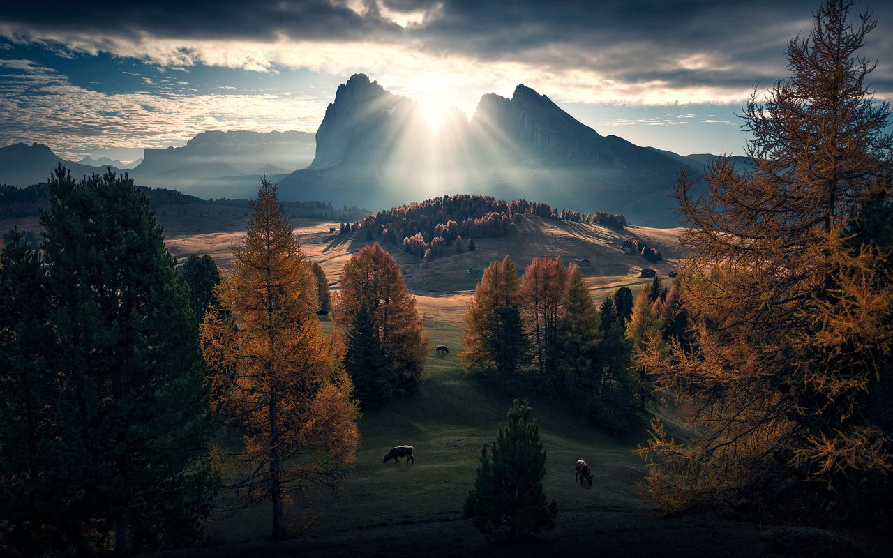 , , , max rive, , , 