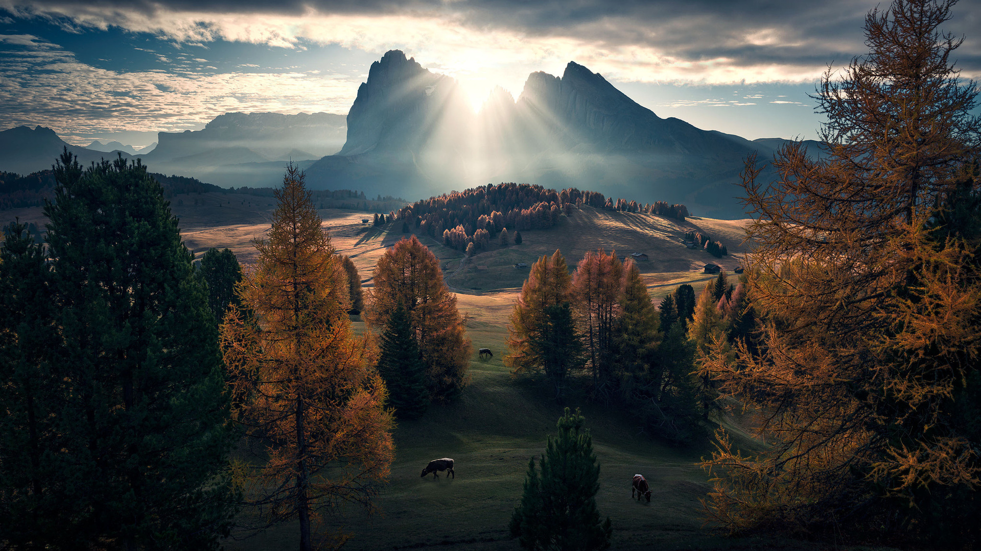 , , , max rive, , , 