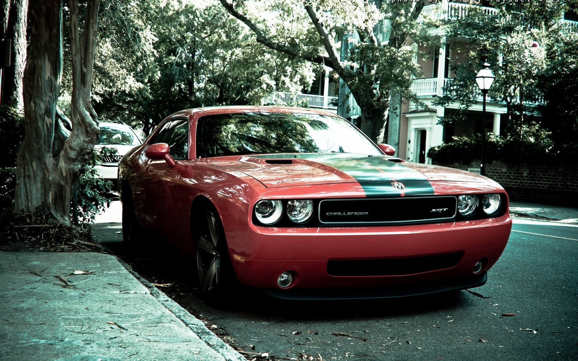 muscle cars, dodge, challenger, srt