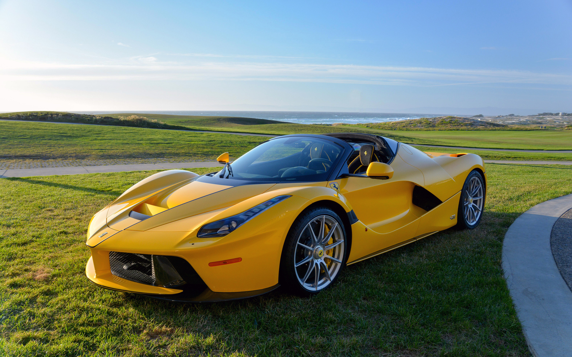 ferrari, 2016-17 laferrari, aperta, 