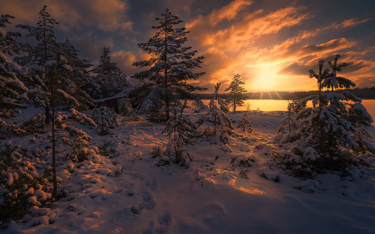 , , , , ,  ole henrik skjelstad