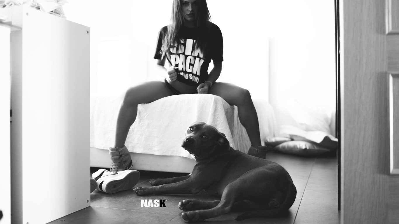 nask nach, , , , dog, 