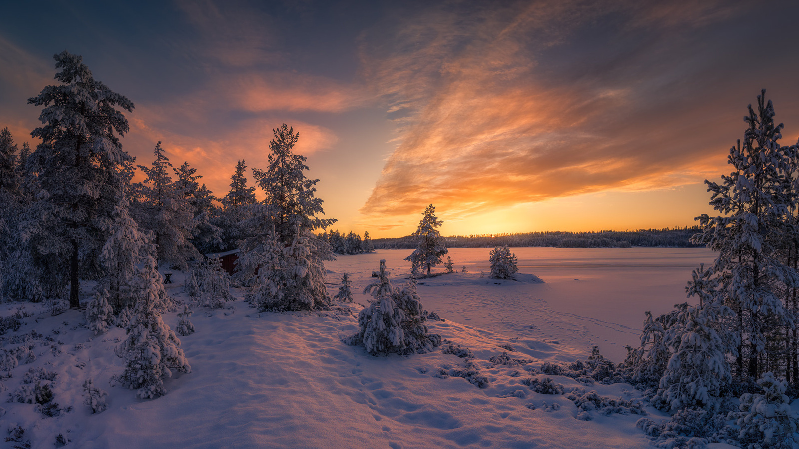 , , , , ole henrik skjelstad, , , 