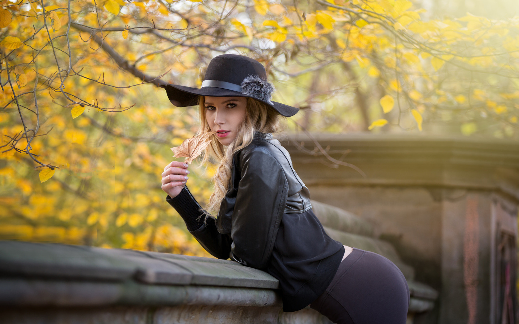 women, hat, blonde, portrait, leather jackets, leaves, women outdoors, black clothing