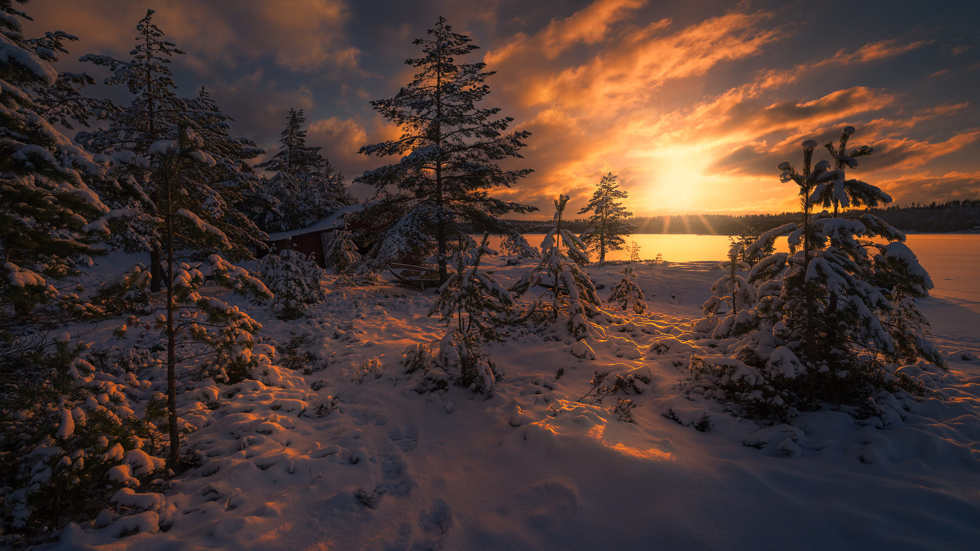 , , , , ,  ole henrik skjelstad