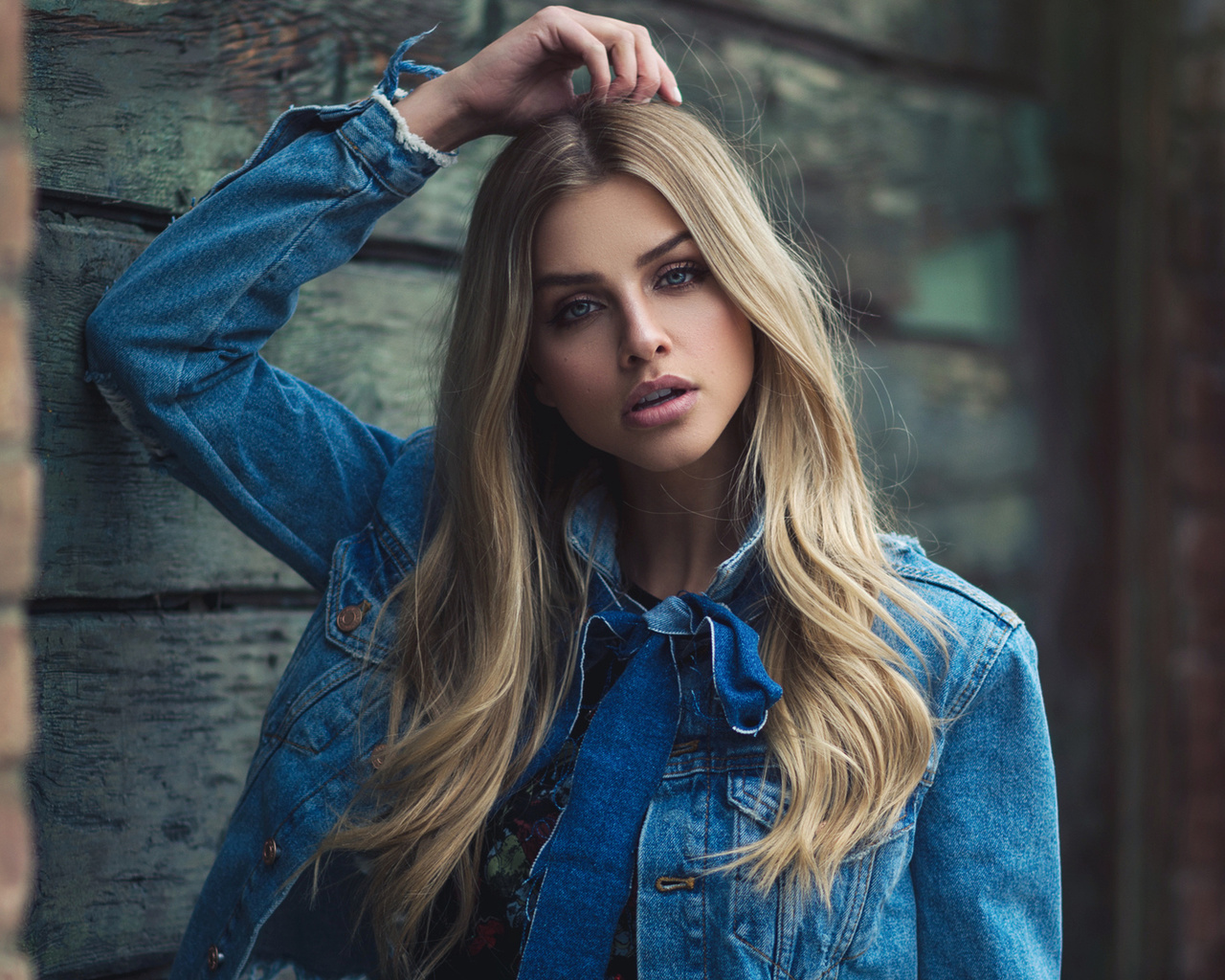 women, blonde, portrait, denim, face, bricks, blue eyes, depth of field