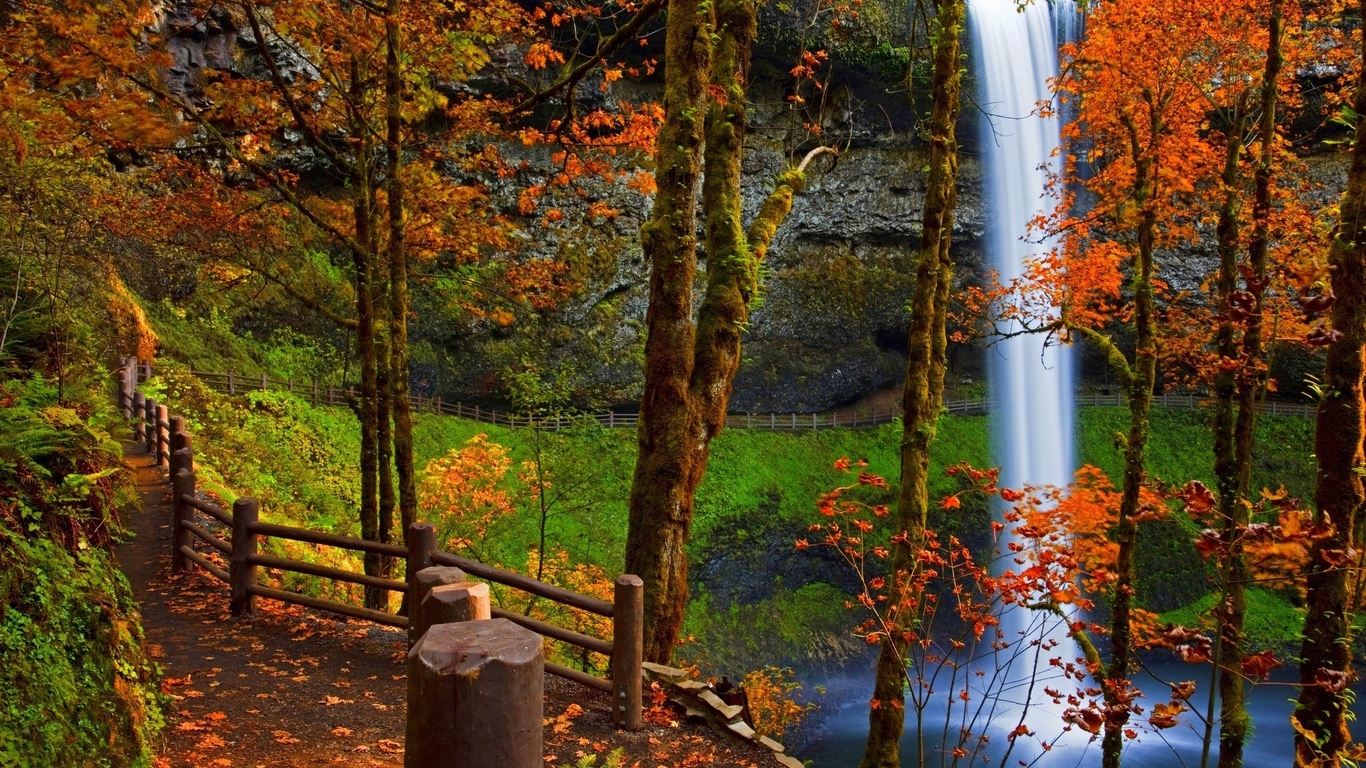 river, , , leaves, fall, , path, colors, trees, , walk, , , , , water, forest, , 