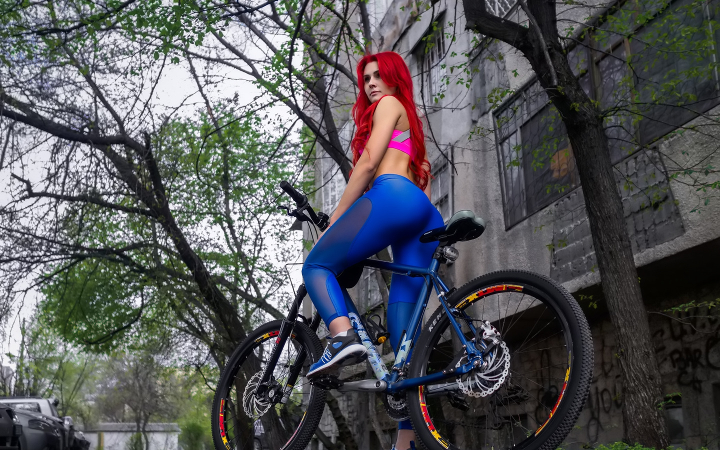 women, redhead, sportswear, sneakers, ass, rear view, women with bikes, women outdoors, trees, brunette, ,  