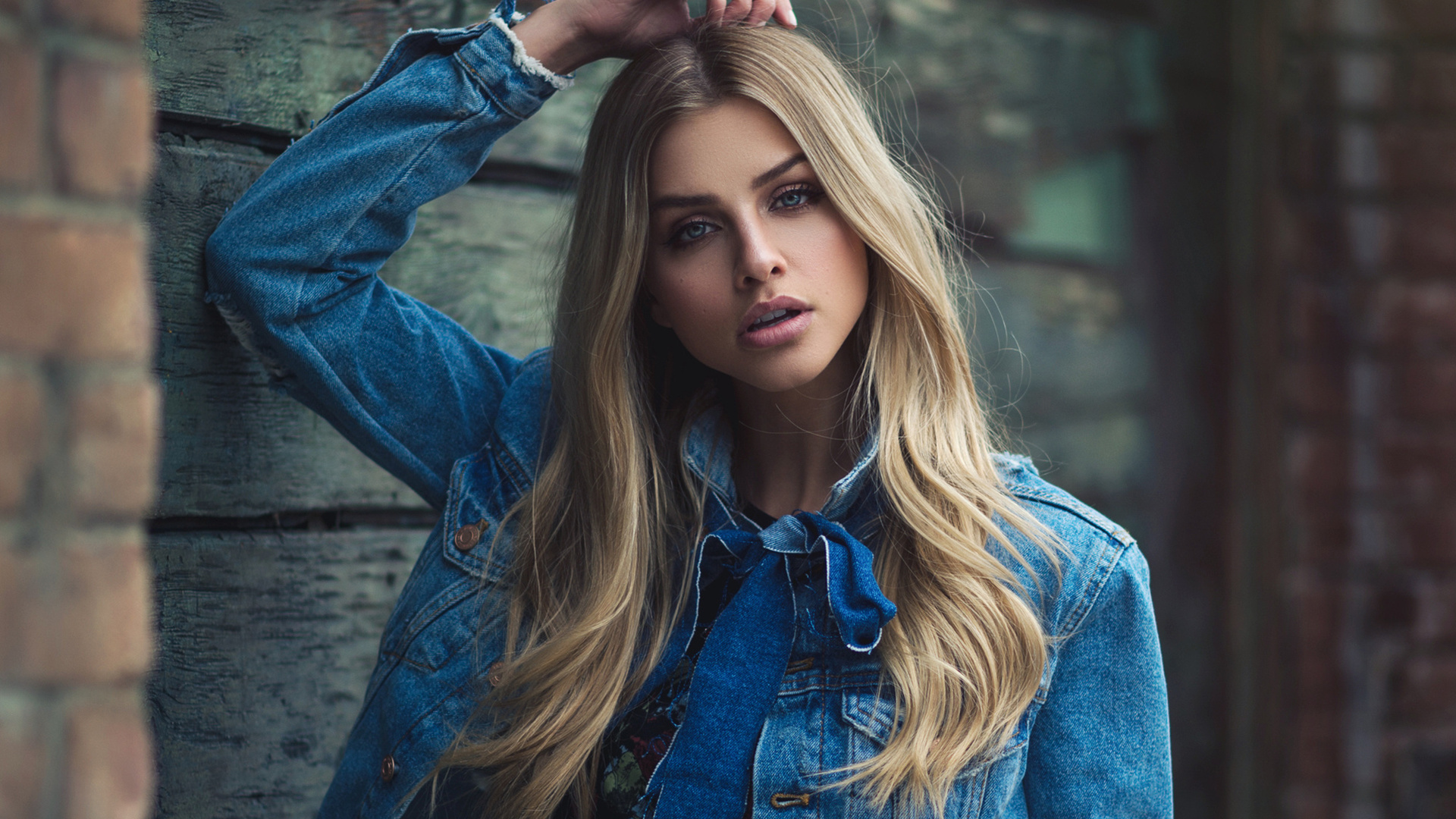 women, blonde, portrait, denim, face, bricks, blue eyes, depth of field