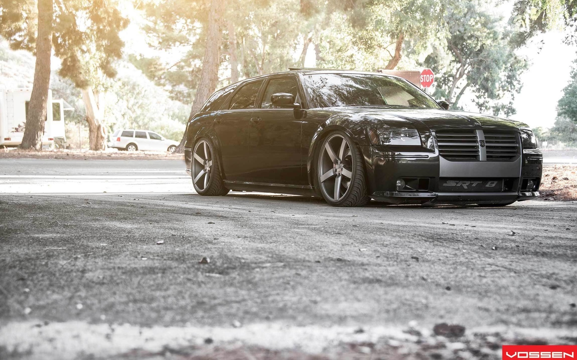 dodge, magnum, vossen