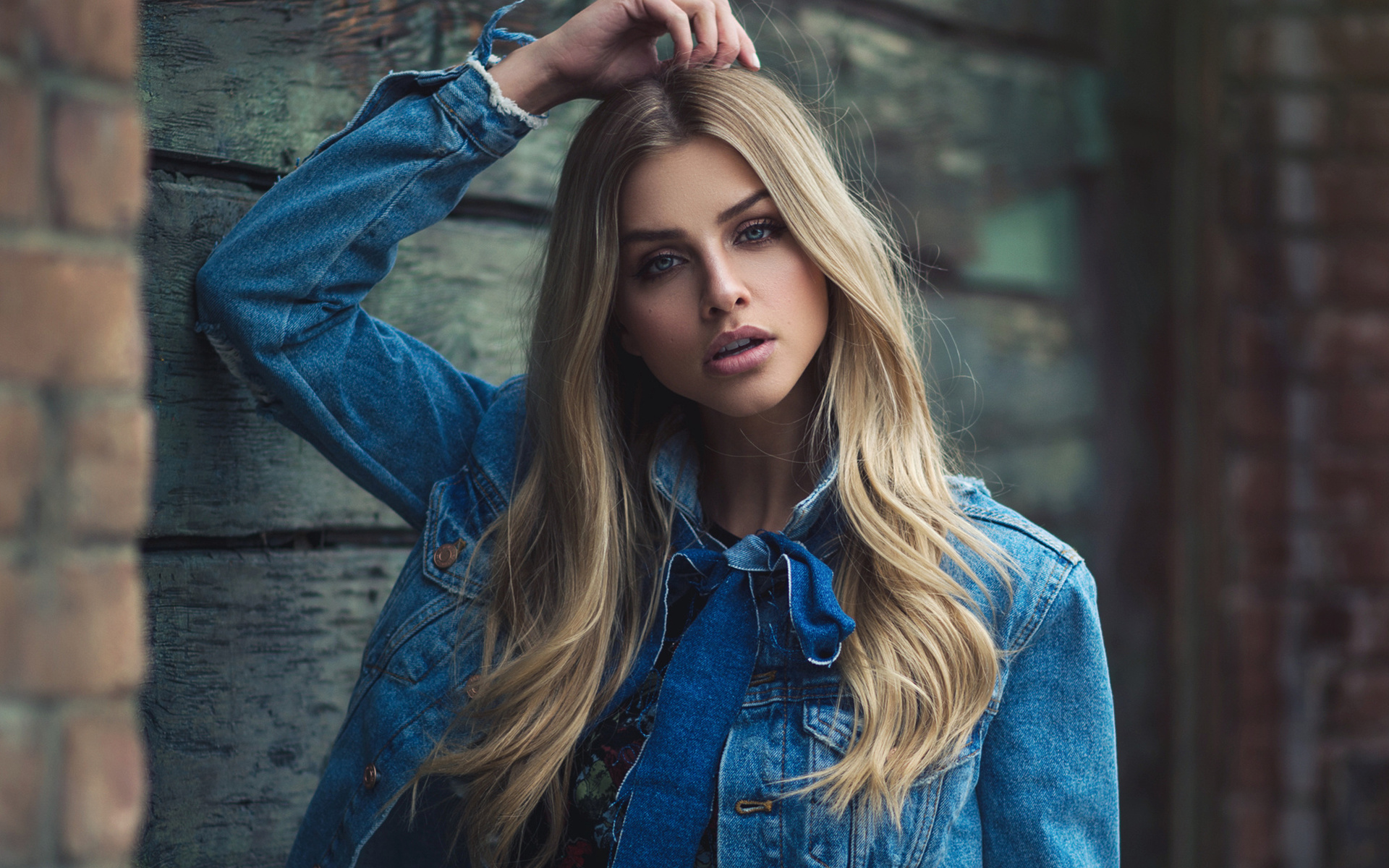 women, blonde, portrait, denim, face, bricks, blue eyes, depth of field