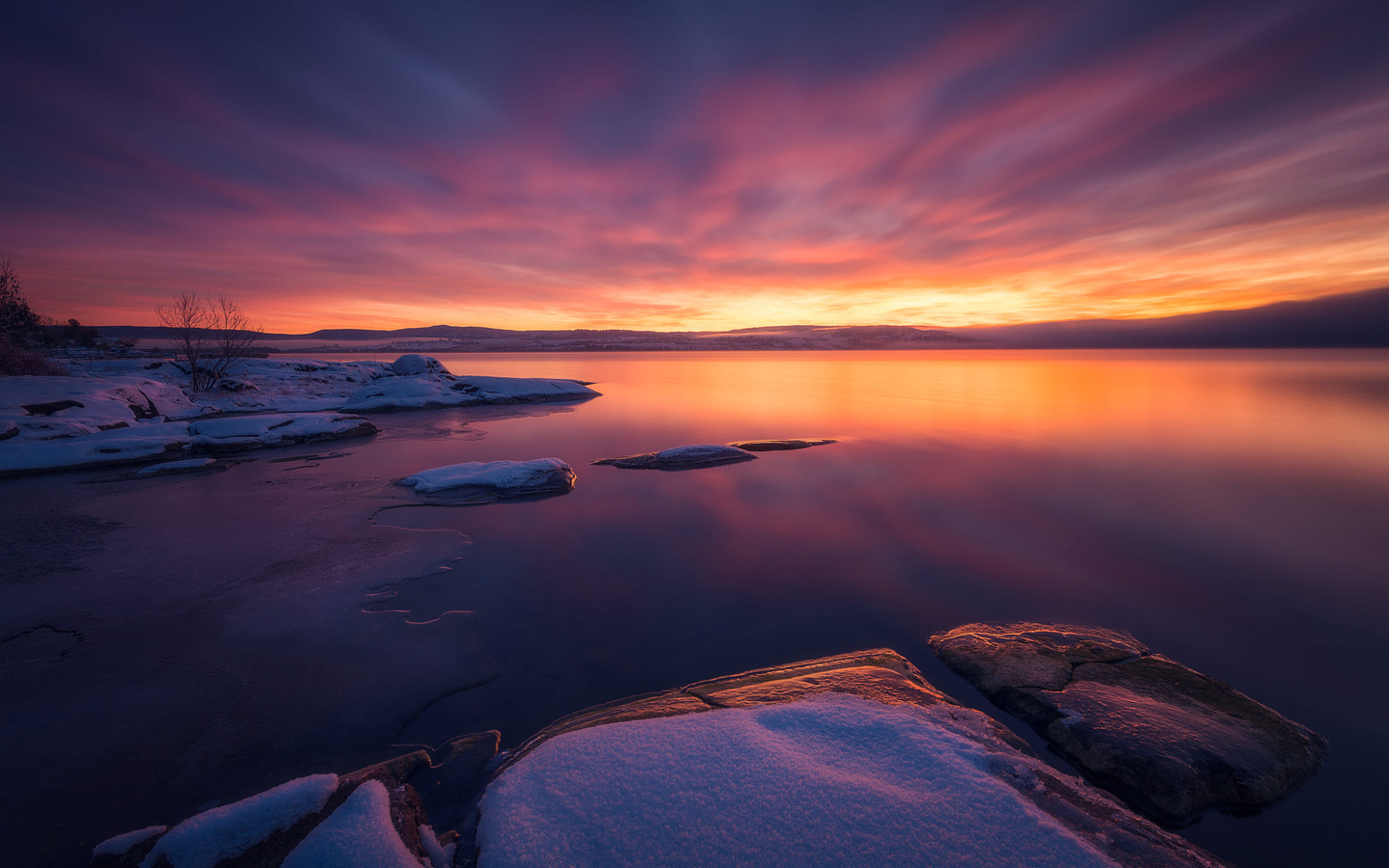 , , , ole henrik skjelstad