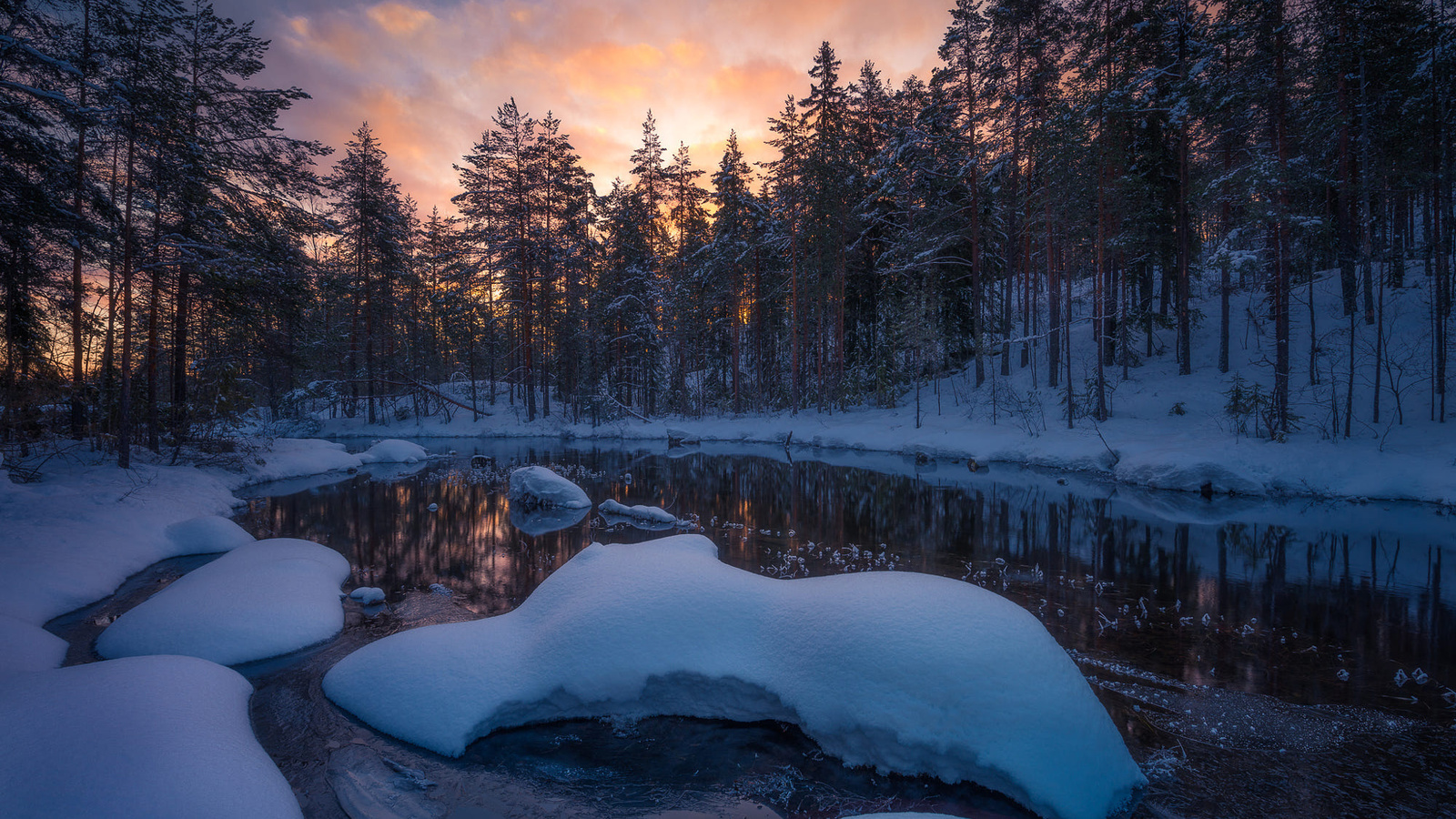 , , ,  ringerike. ,  ole henrik skjelstad