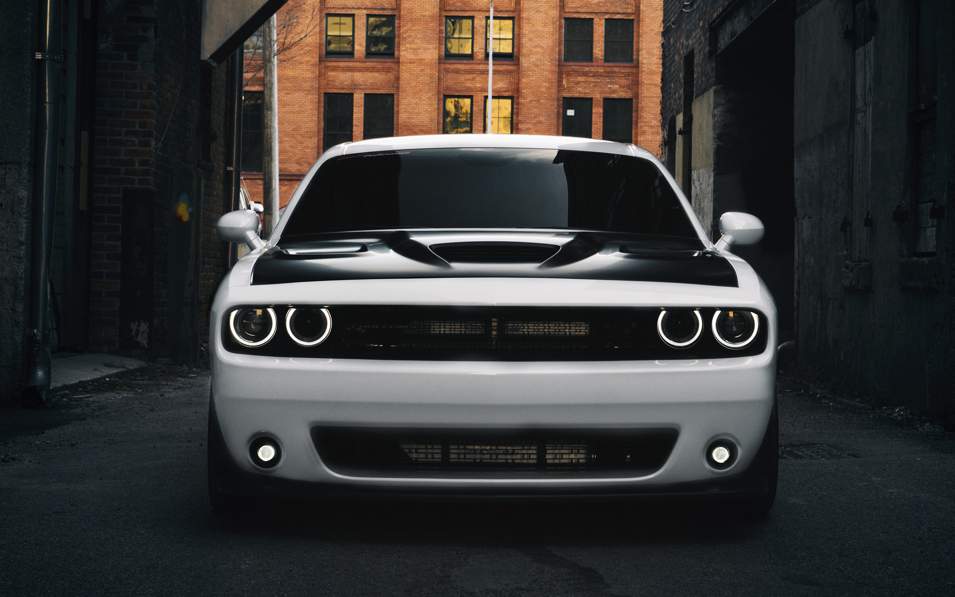 dodge, challenger, ,  