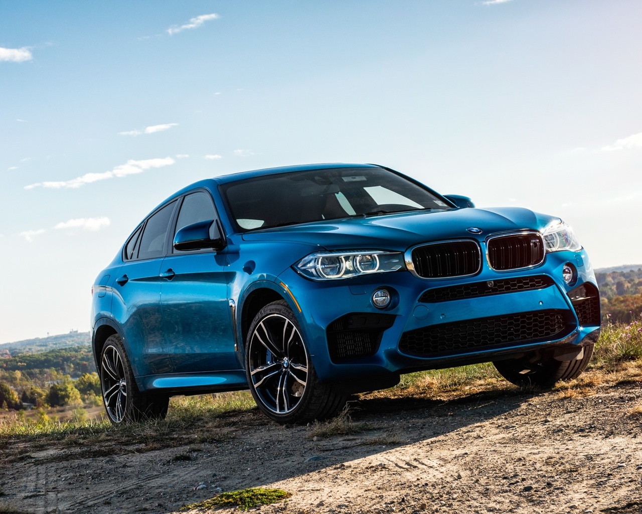 , bmw, x6, , 