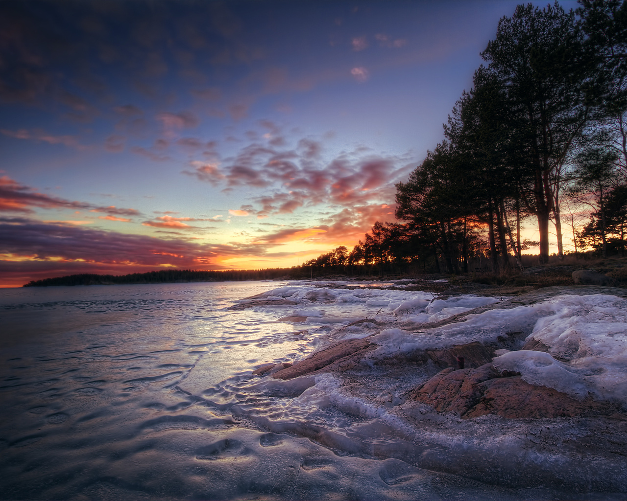 lake, trees, forest, ice, winter