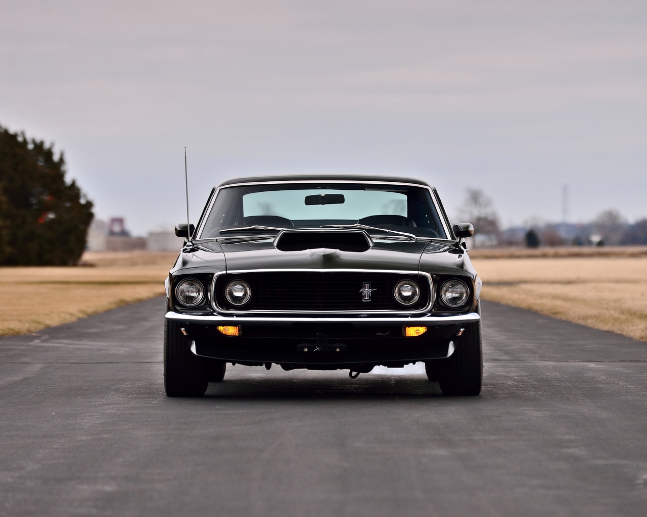 1969, 429, boss, classic, ford, muscle, mustang