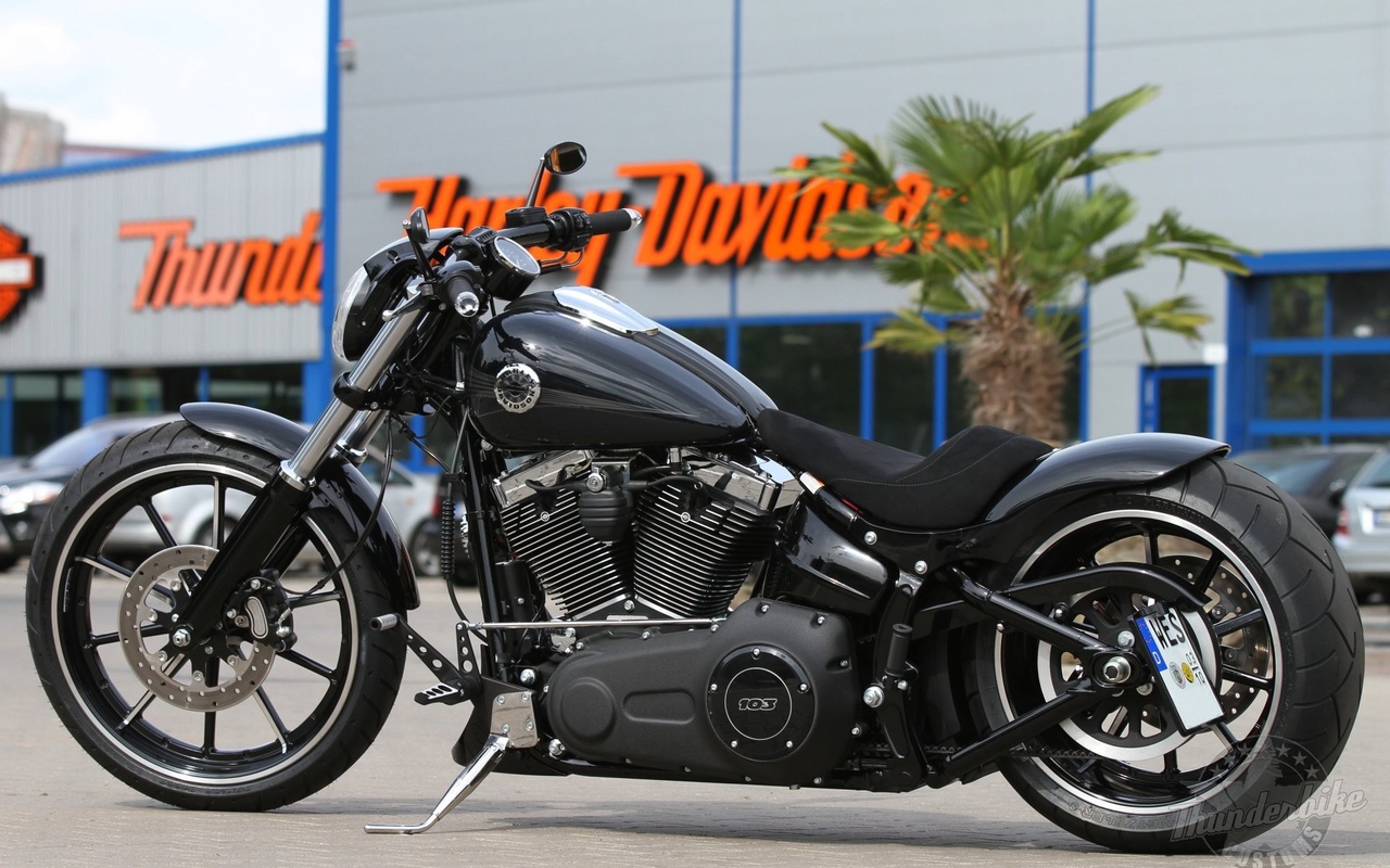 thunderbike, custom, chopper, bike, 