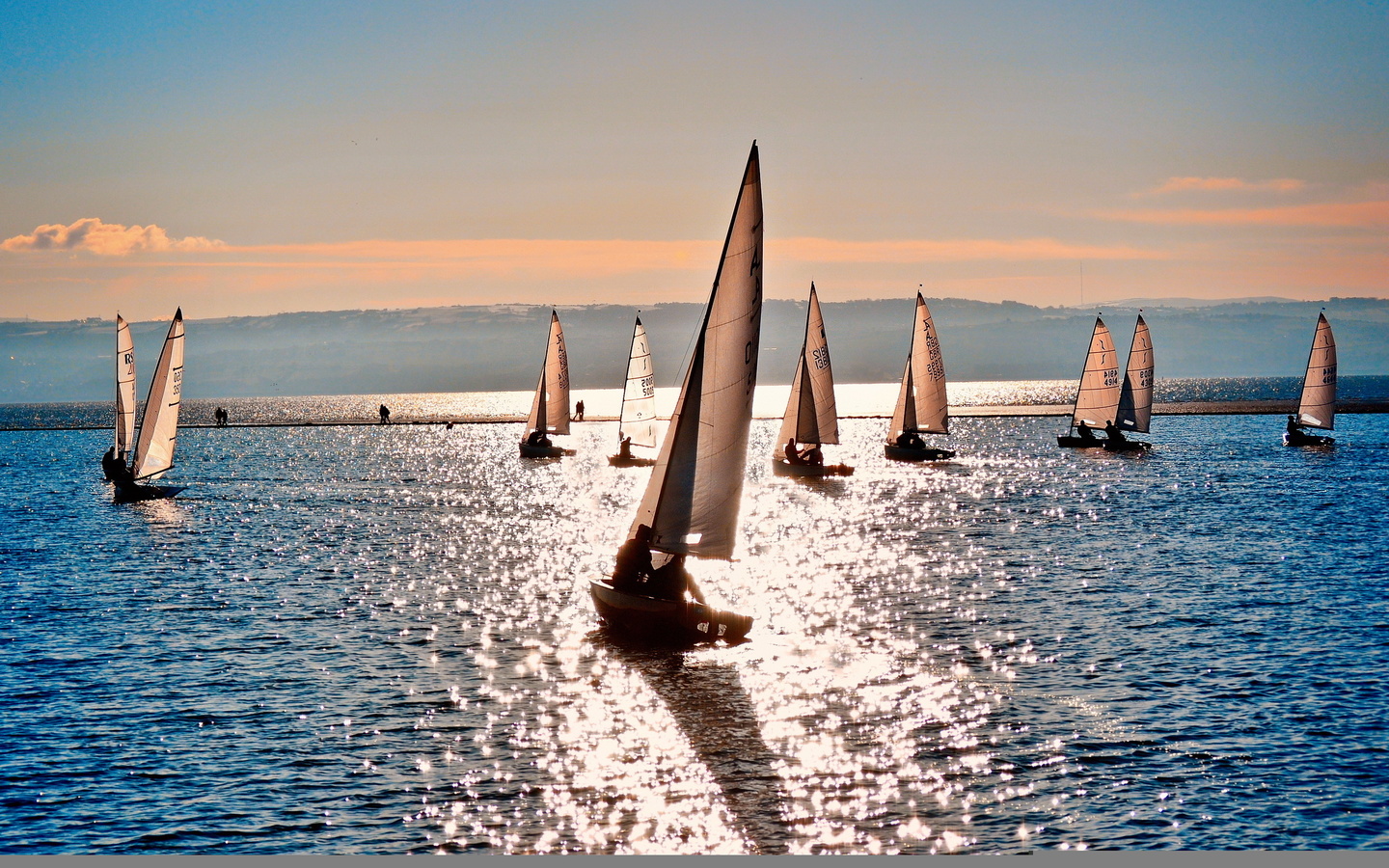 sea, yachts, sport, sailboats at sea, nature