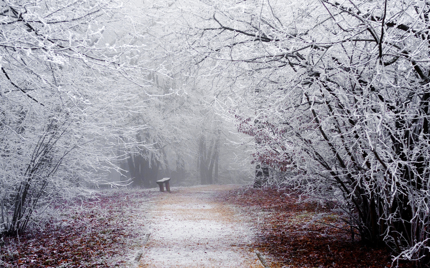 shop, park, snow, winter, frost, bench, bench, trees, road, nature, shop, branches, track, ,,,,,,,