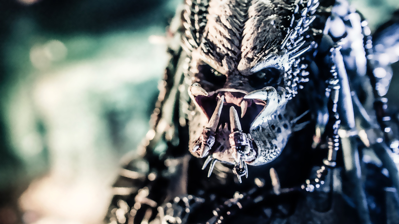 predator, , , 