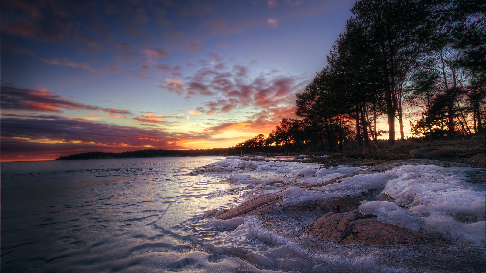 lake, trees, forest, ice, winter