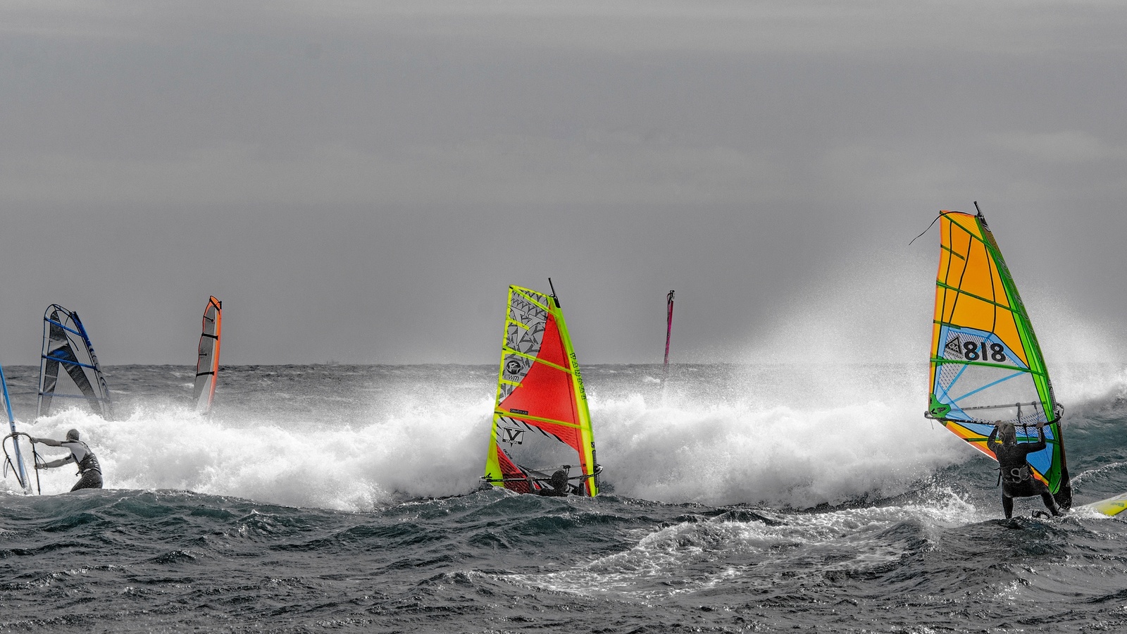 sail, the wind, regatta, board, wave, windsurfing, sea