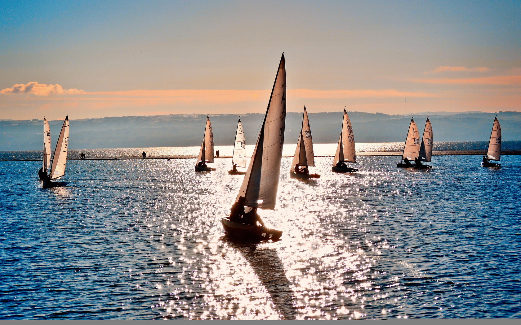 sea, yachts, sport, sailboats at sea, nature