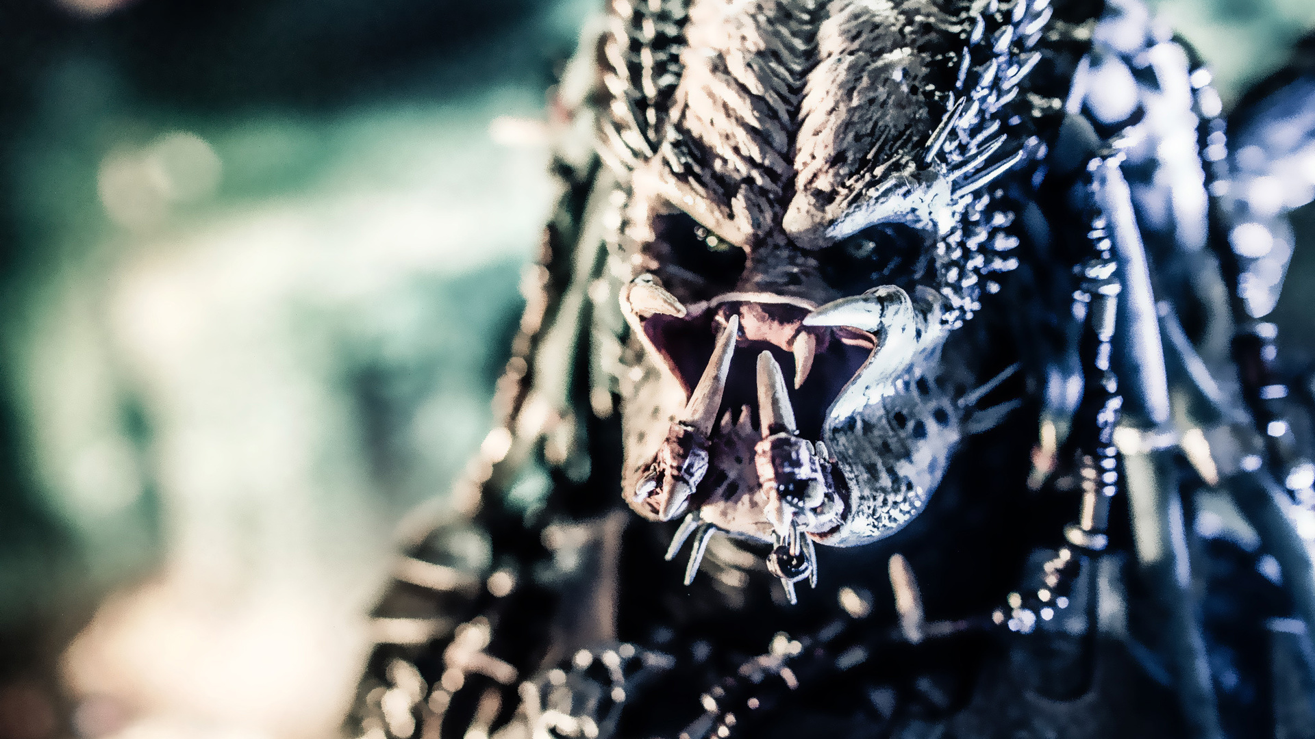 predator, , , 