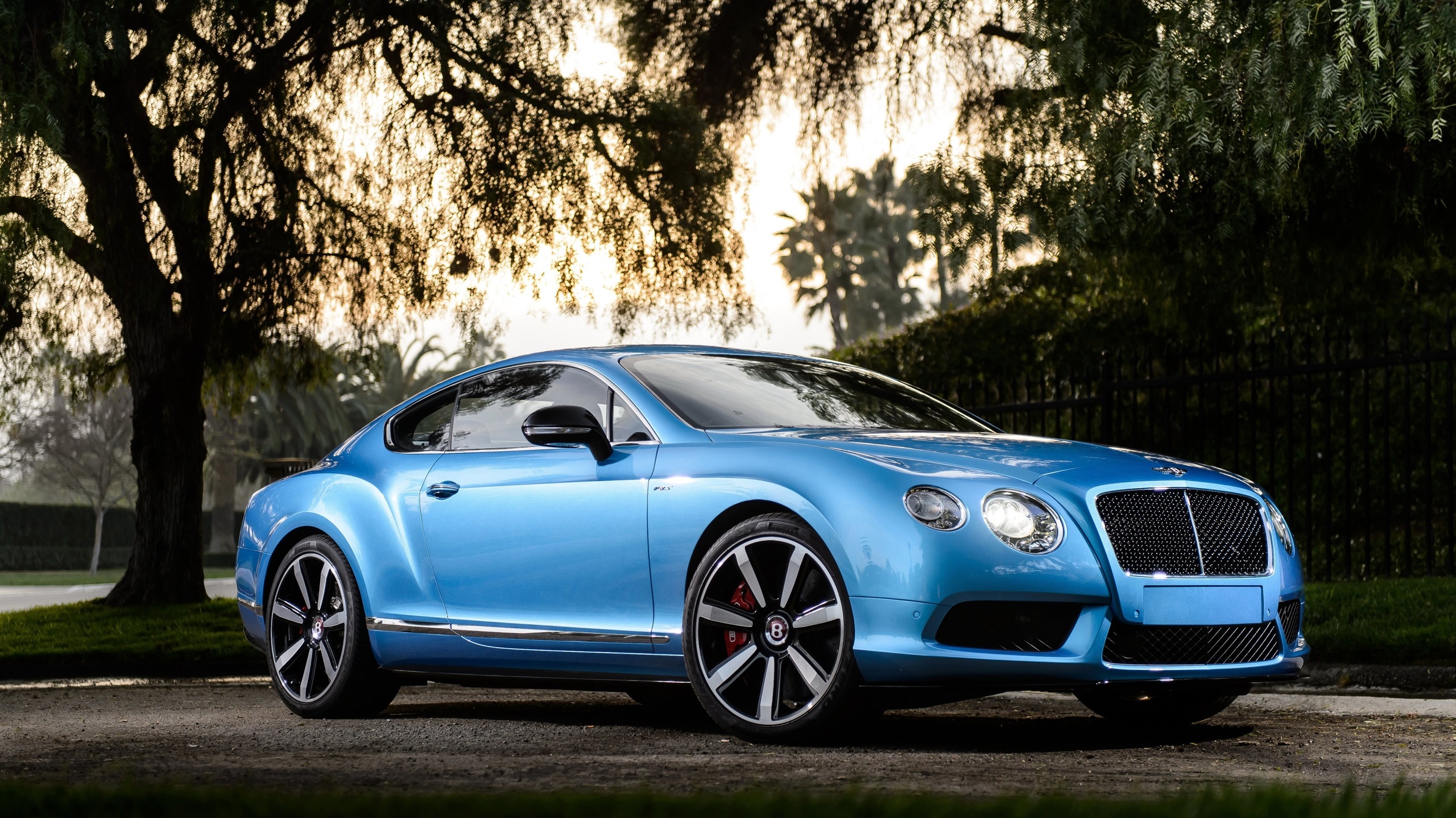 bentley, continental, gt, v8