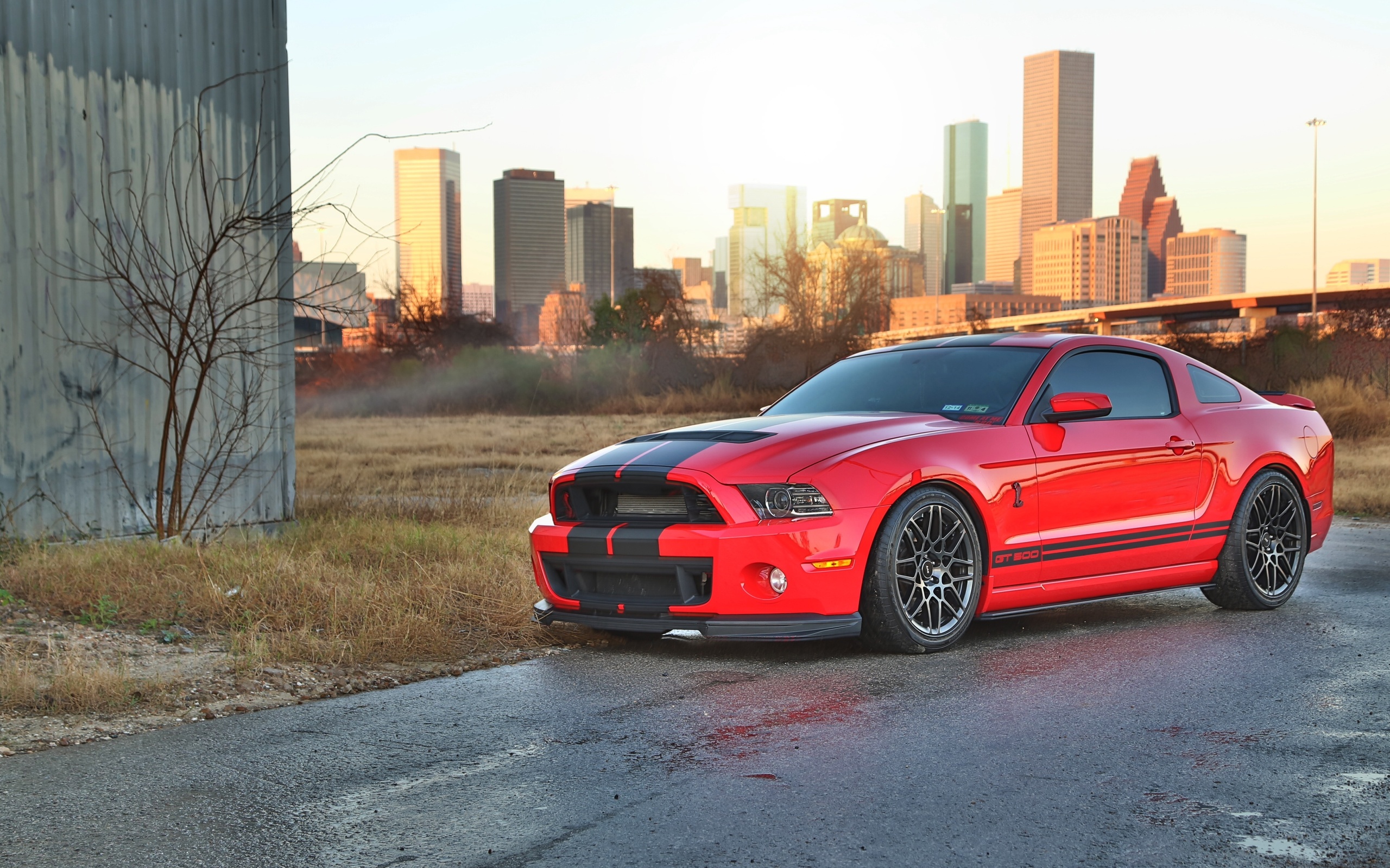 , , gt500