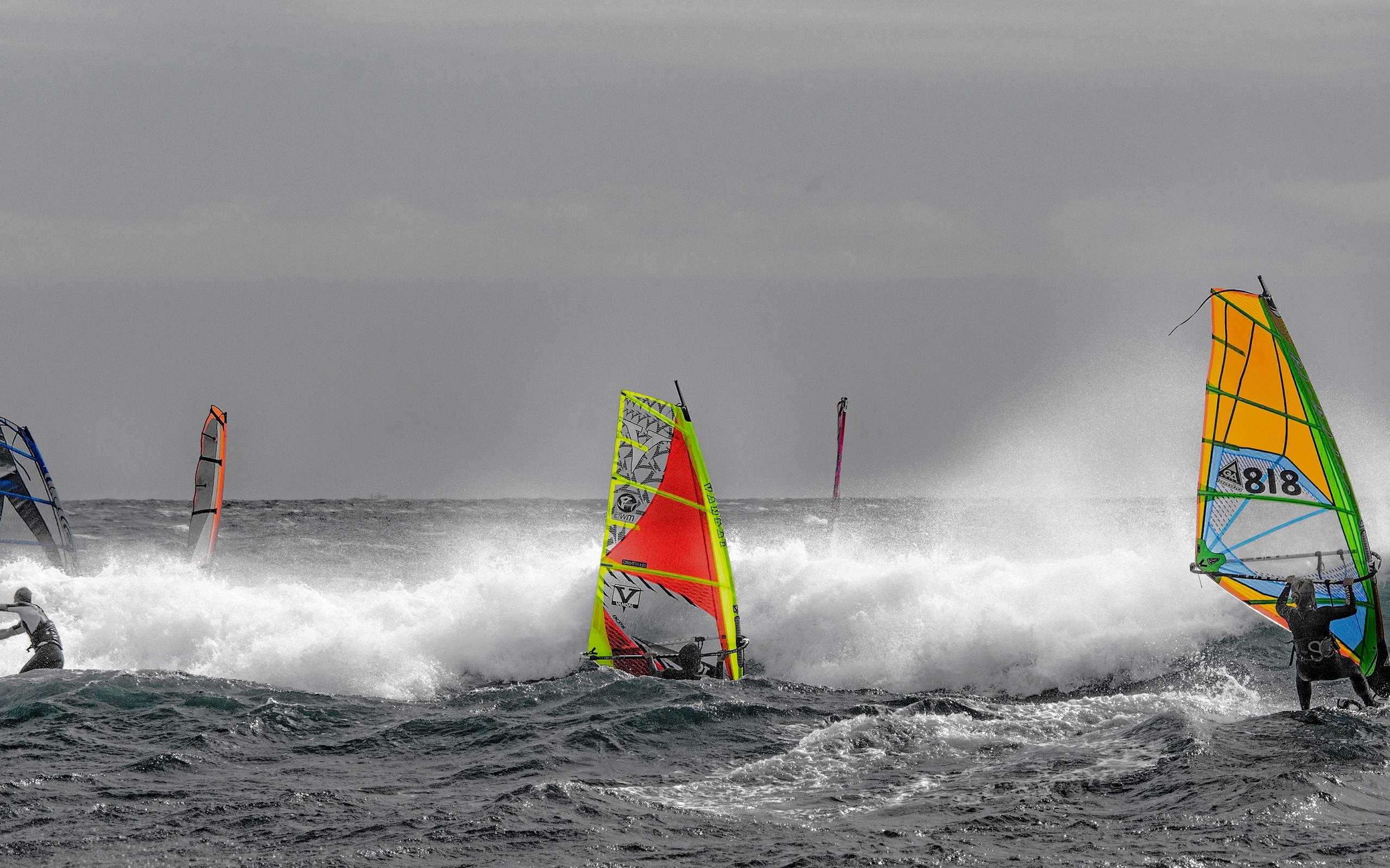 sail, the wind, regatta, board, wave, windsurfing, sea