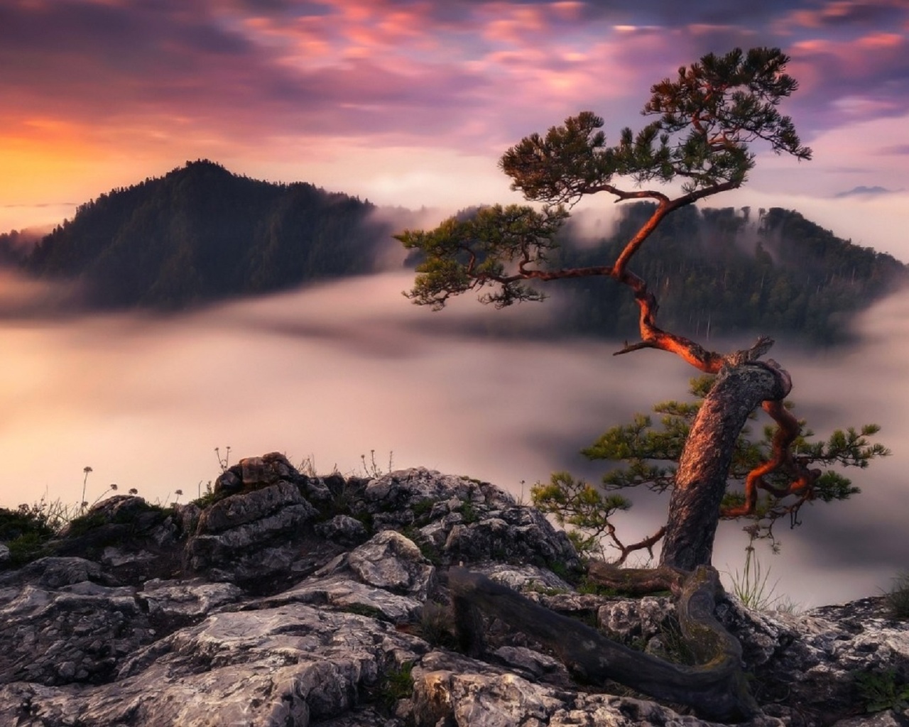 clouds, rocks, germany, fog, dello, the evening, morning