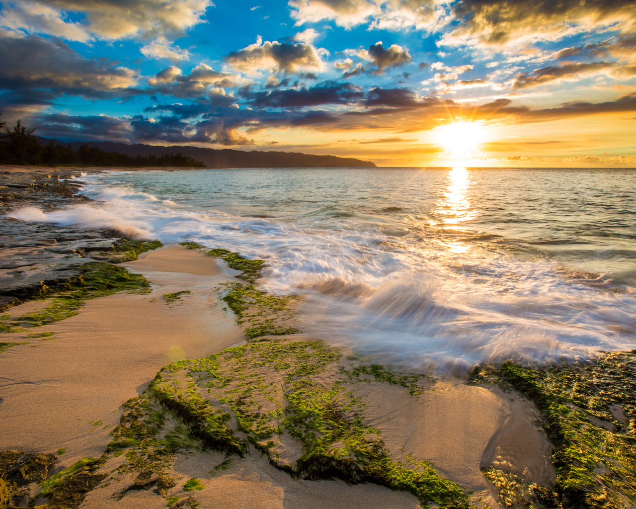 sea, usa, tropics, dawn, coast, hawaii