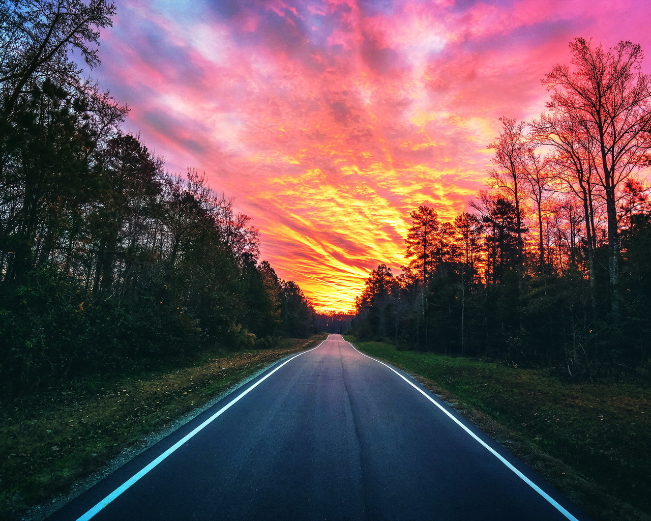 road, forest, sunset