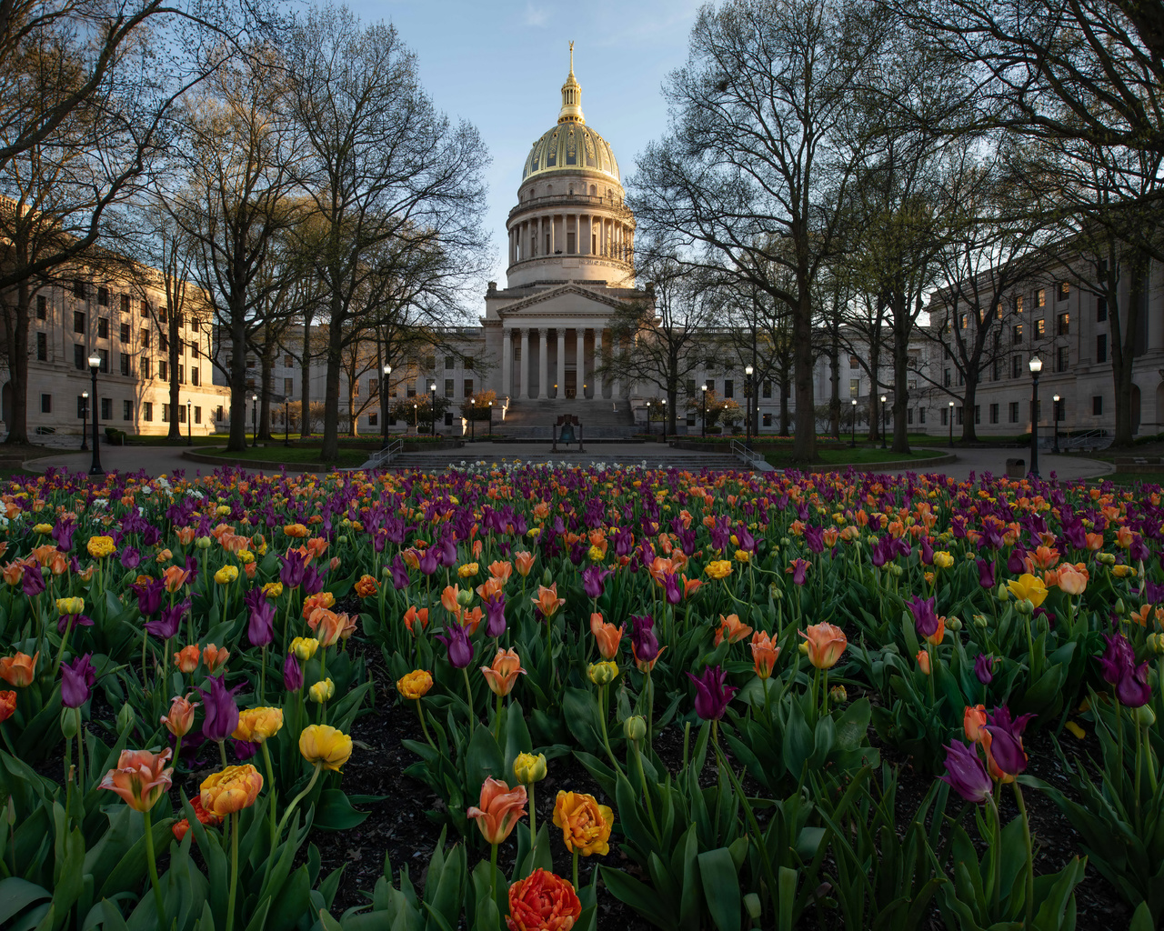 , virginia, capitol, ,  , 