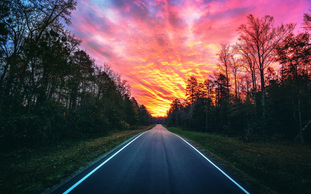 road, forest, sunset