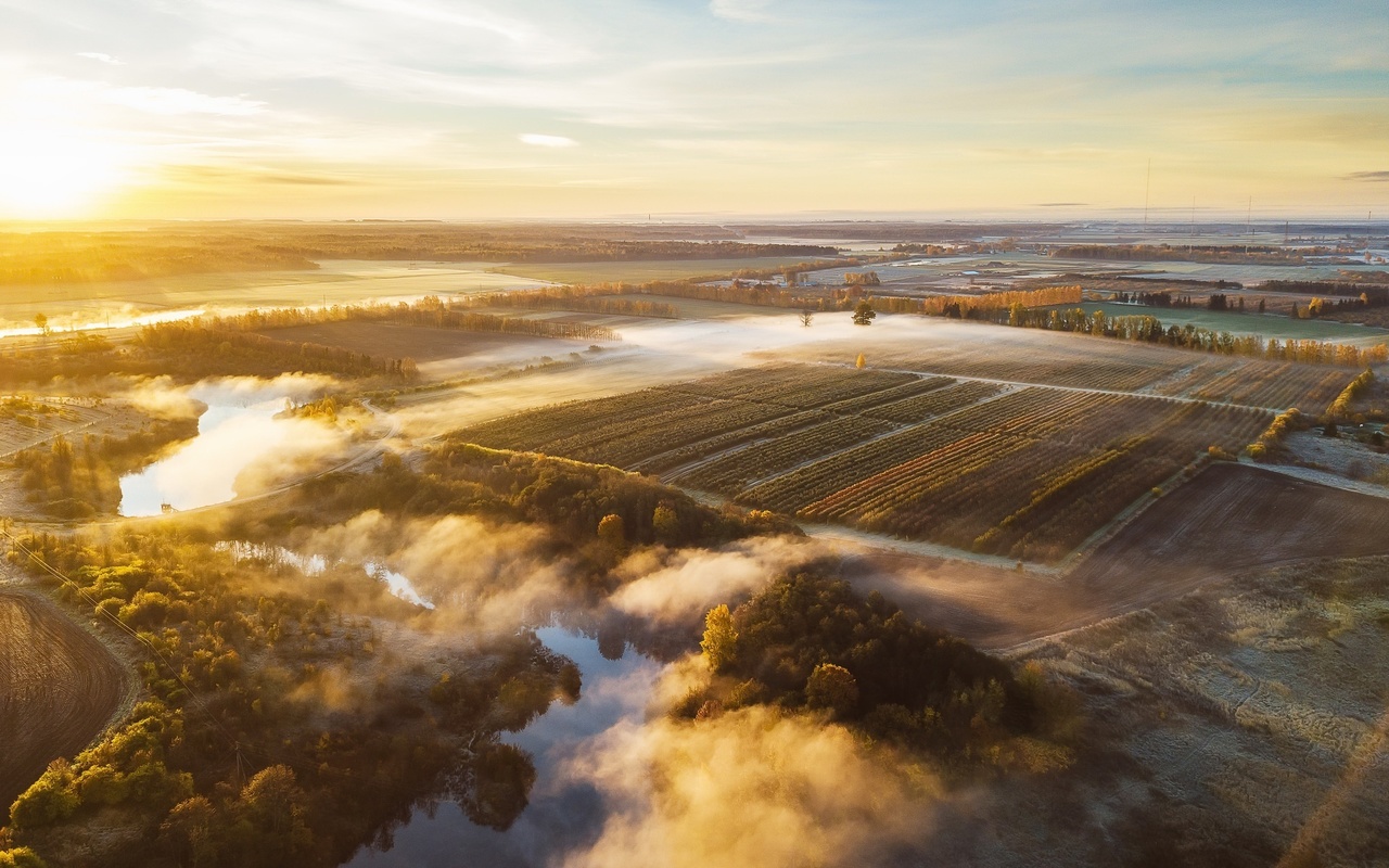 field, lithuania, morning, fog