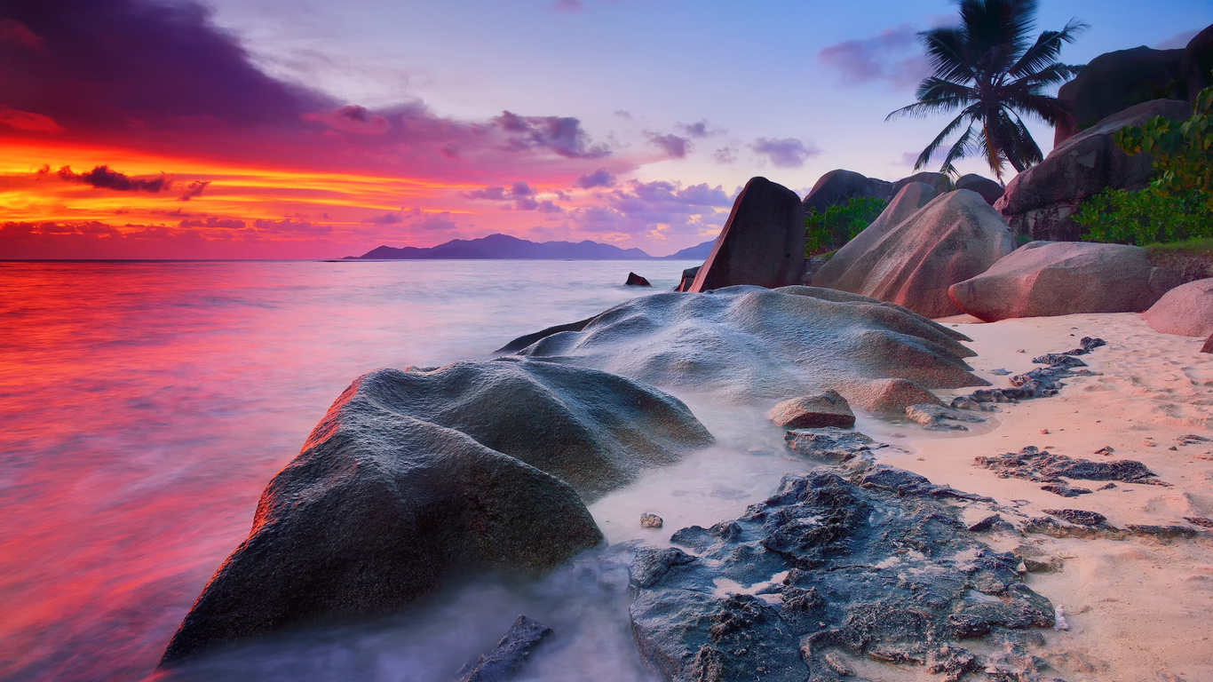 morning, palm trees, la digue island, seychelles, sea, the evening, water, rocks, clouds, trees, the bushes, the indian ocean, beach, excerpt, the sky, stones