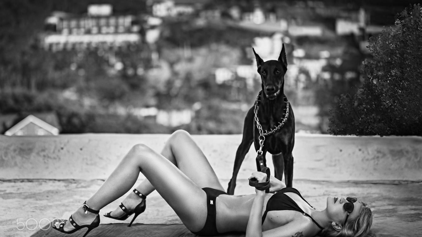 doberman pinscher, , , 500px