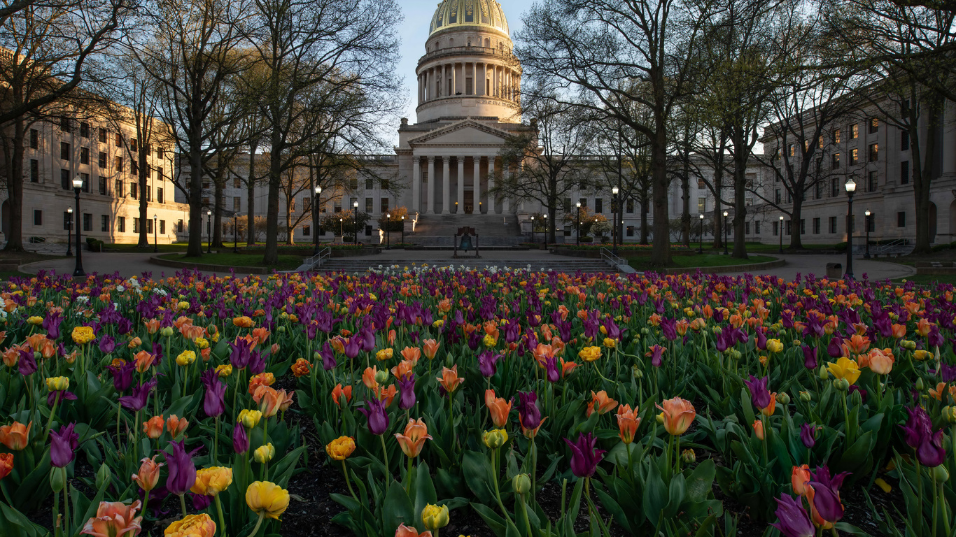 , virginia, capitol, ,  , 