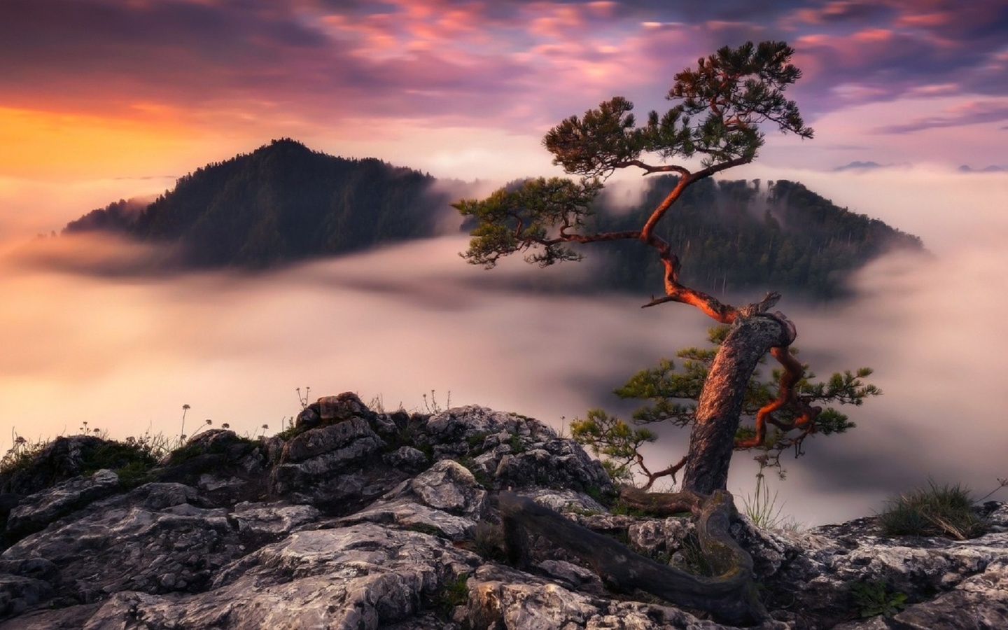 clouds, rocks, germany, fog, dello, the evening, morning