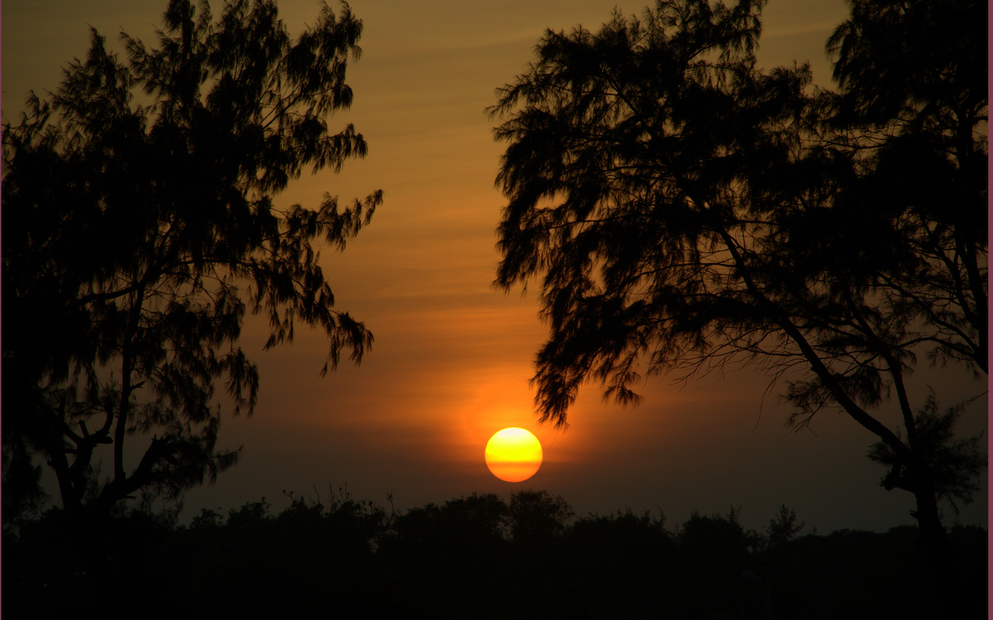 sunset, nature, trees, silhouette, nature, trees, sunset