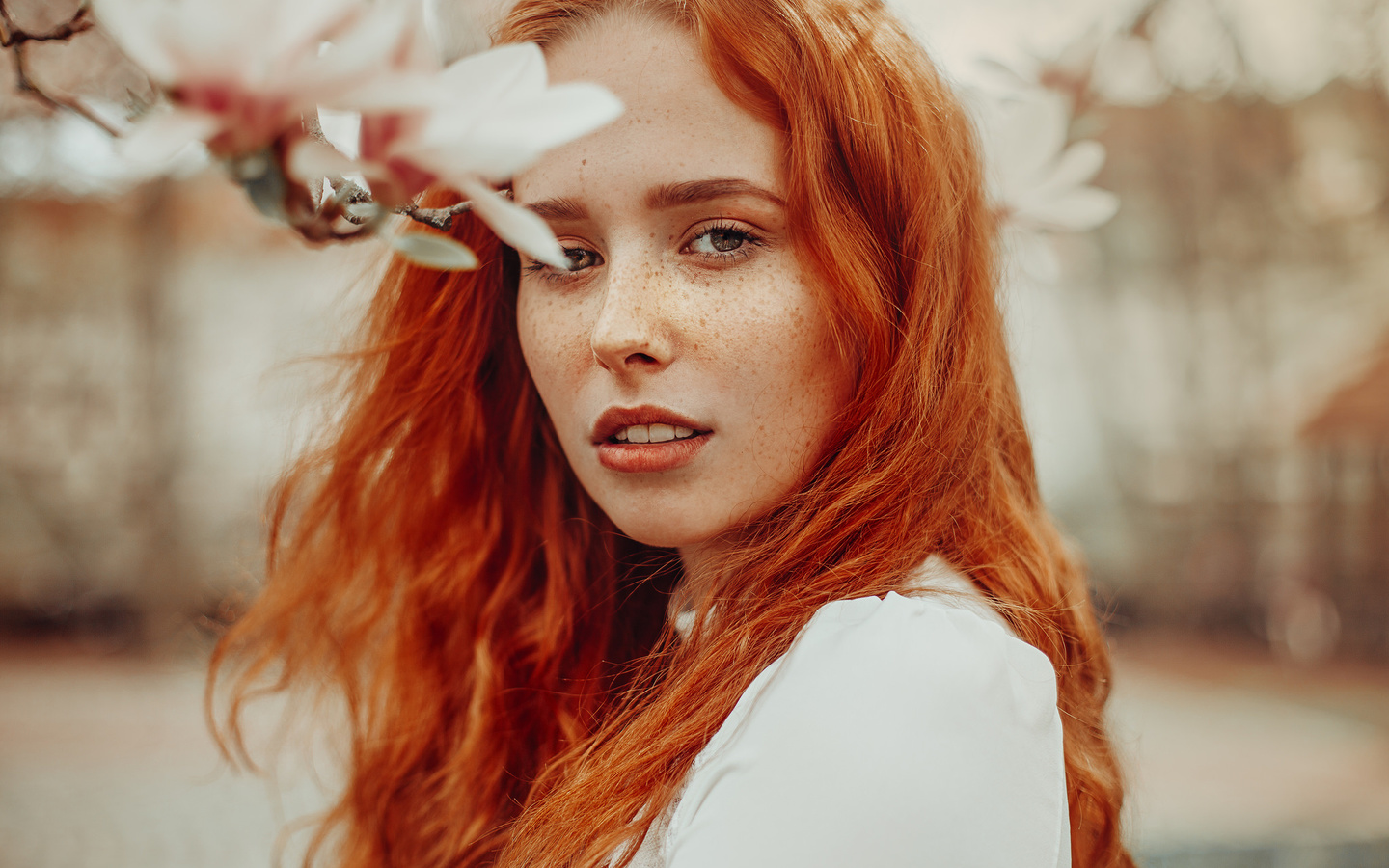 women, face, portrait, women outdoors, depth of field, redhead, freckles