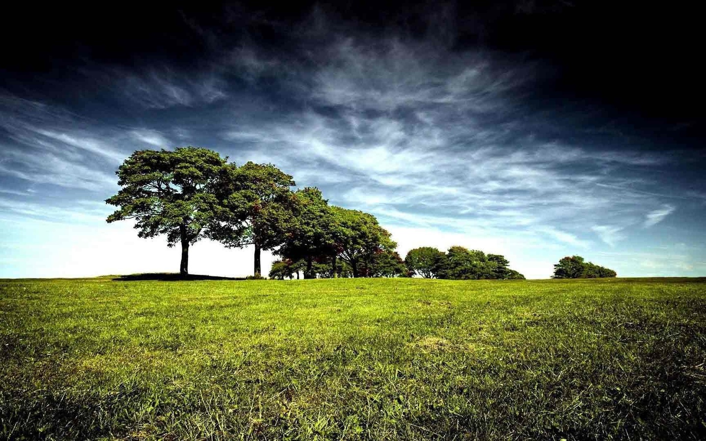 field, trees, sky, clouds, horizon