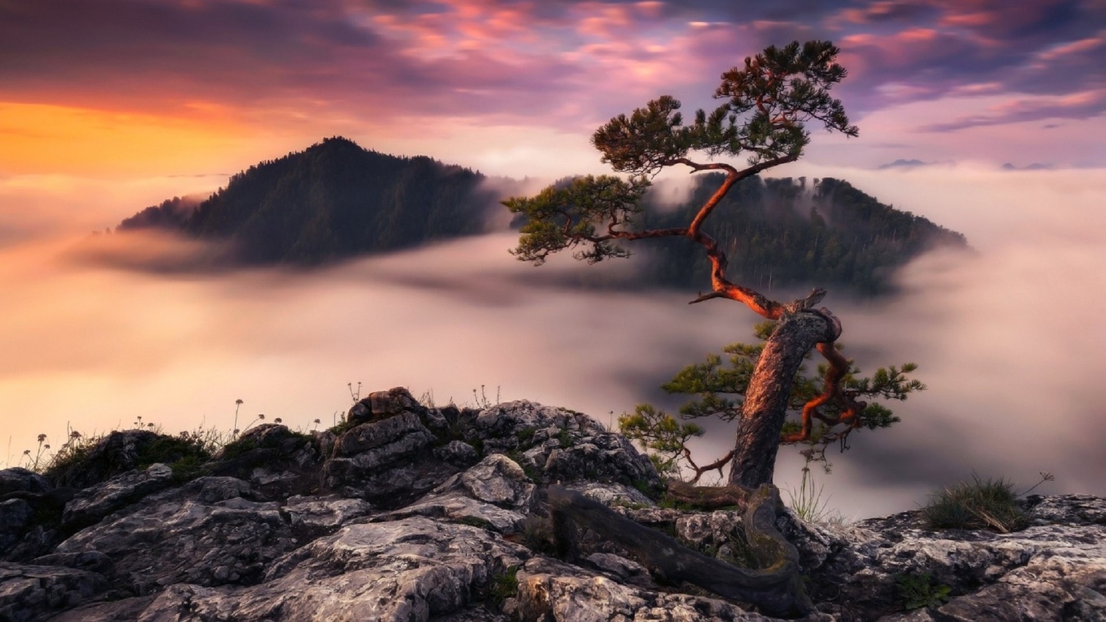 clouds, rocks, germany, fog, dello, the evening, morning