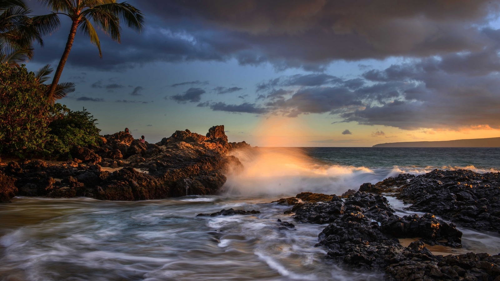 palm trees, makena cove, pacific ocean, hawaii, coast, maui, the ocean, maui, sunset, the pacific ocean, hawaii