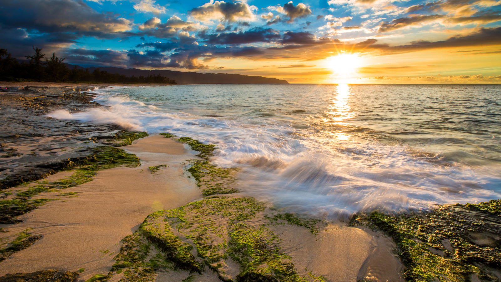 sea, usa, tropics, dawn, coast, hawaii